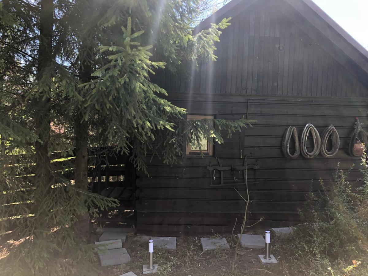 Dom Alpejski Krosniczanka Krosnica  Exteriör bild
